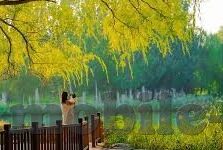 开云体育app-数字化时代下的运动新风尚，开云体育app引领的体育生活方式变革