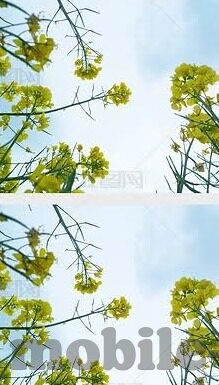 最准比分足球预测-解锁足球预测密码，揭秘最准比分背后的科学逻辑与实战策略