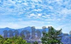 足球比分中超-中超风云，比分背后的激情与变革